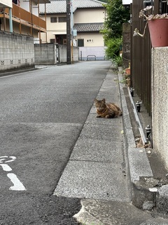 6A19262F-6F5C-470E-A32C-10DB72FEDB79.jpeg